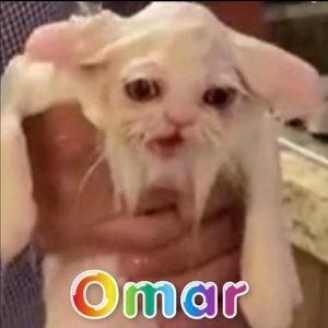 Meet your Posher, Omar